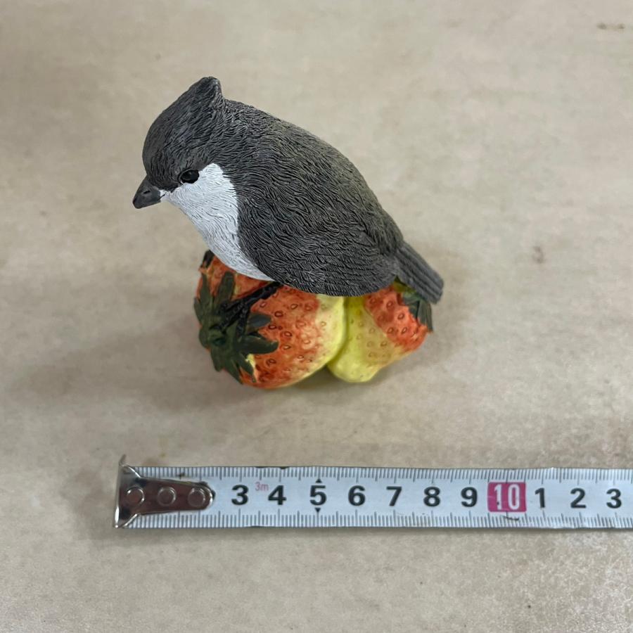 野川  11114 フルーツバード (４種アソート) |  | 08