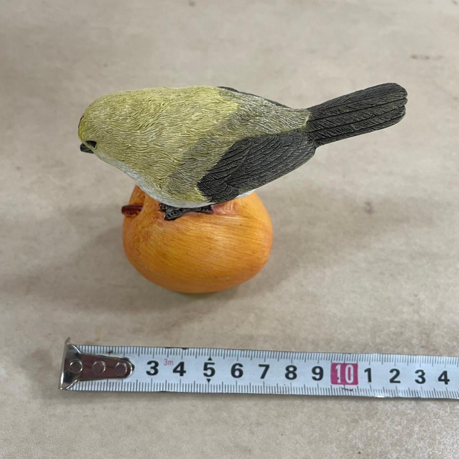 野川  11114 フルーツバード (４種アソート) |  | 07