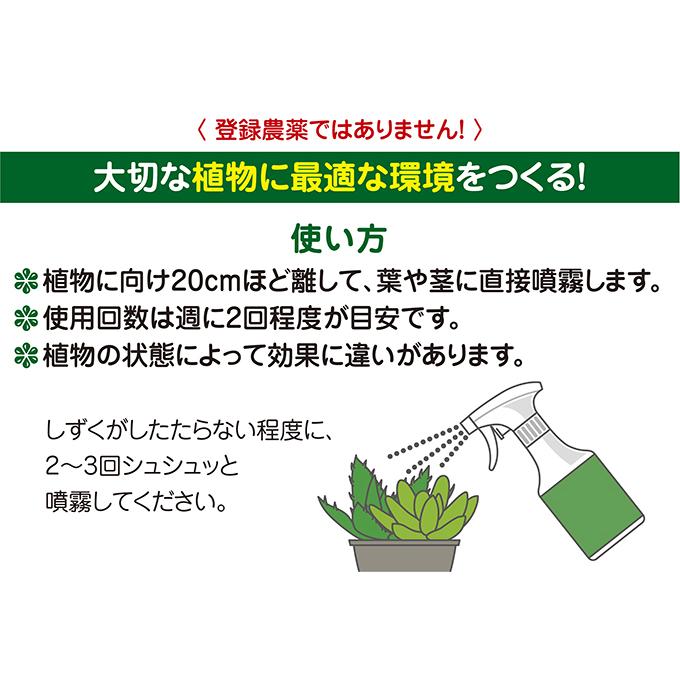 花ごころ 多肉のハリ・ツヤ・うるおい液 300ml 無臭で清潔 スプレー 簡単 | 花ごころ | 01