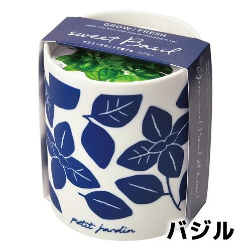 プレゼント 栽培セット ハーブ 家庭菜園 グロー&フレッシュ 聖新陶芸 食育|leafs|02