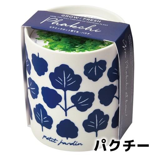 プレゼント 栽培セット ハーブ 家庭菜園 グロー&フレッシュ 聖新陶芸 食育|leafs|03