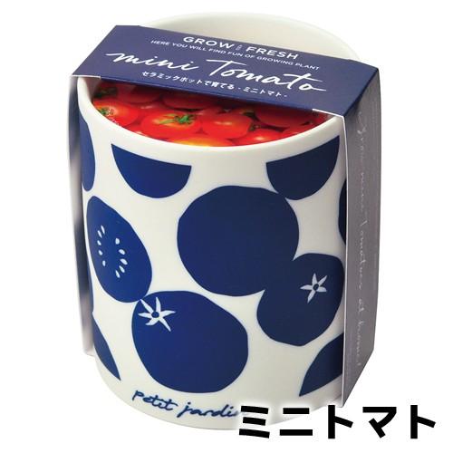 プレゼント 栽培セット ハーブ 家庭菜園 グロー&フレッシュ 聖新陶芸 食育|leafs|05