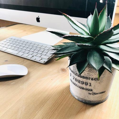 室内 インテリア ブリキ鉢 オシャレ 割れにくい 軽い カルナック Hsg01wh シャトールーポットs S Leafs ヤフー店 通販 Yahoo ショッピング