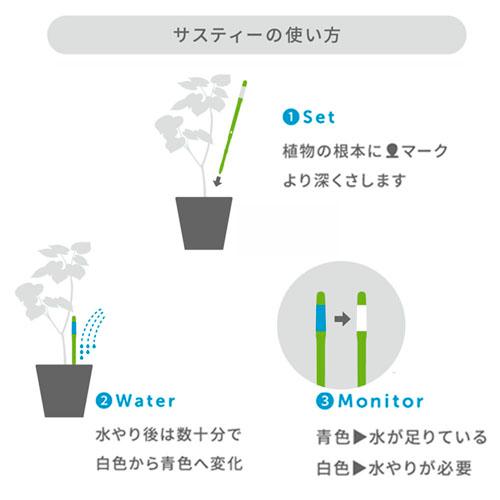 初心者 水やり お助け 可視化 おしゃれ 水やりチェッカー サスティー S S Leafs ヤフー店 通販 Yahoo ショッピング