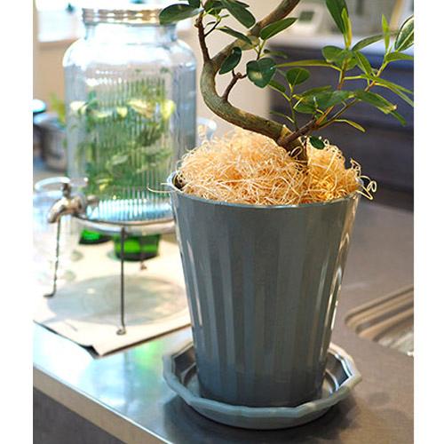 プランター アップル　グロスポット 10号 鉢 観葉植物 シンプル 深型 |  | 01