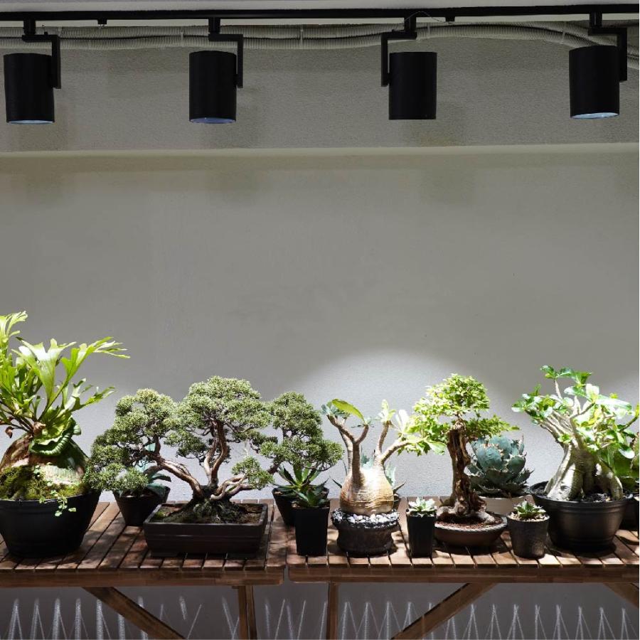 植物育成LEDライト BARREL(バレル) HADES(ハデス) ライティング 植物育成LEDライト BARREL(バレル) HADES(ハデス) ライティング