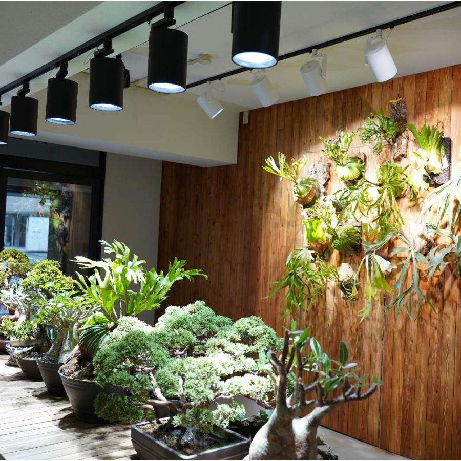 植物育成LEDライト BARREL(バレル) HADES(ハデス) ライティング 植物育成LEDライト BARREL(バレル) HADES(ハデス) ライティング