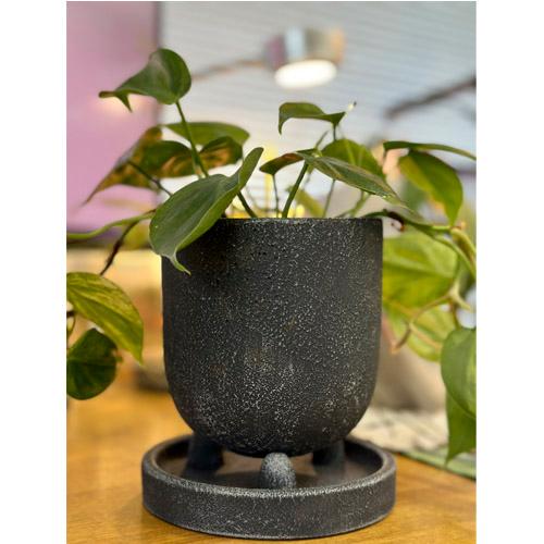 ポット　デルキ KL23 リベルタポット A　Sサイズ 鉢 シンプル オシャレ ソーサー付き |  | 02