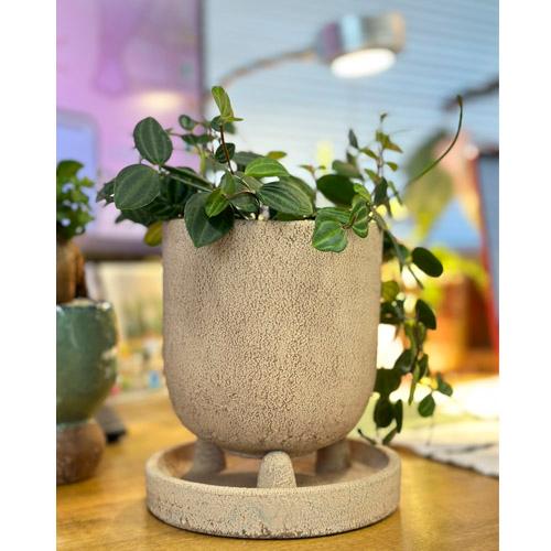 ポット　デルキ KL23 リベルタポット A　Sサイズ 鉢 シンプル オシャレ ソーサー付き |  | 03