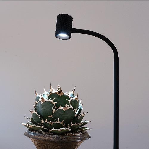 LED植物育成ライト BARREL ユー ブラック/ホワイト E26(yew-7W-ST