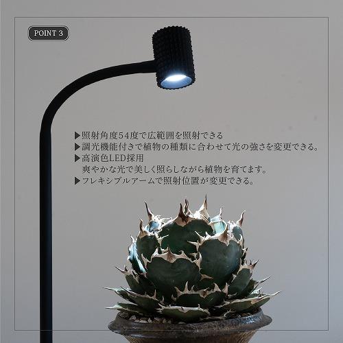 LED植物育成ライト BARREL ユー ブラック/ホワイト E26(yew-7W-ST