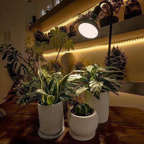 LED植物育成ライト BARREL WAP-SUN20W ブラック/ホワイト 半防水仕様