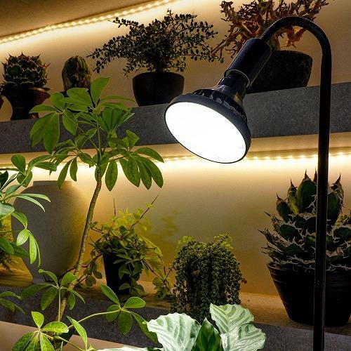 LED植物育成ライト BARREL WAP-SUN20W ブラック/ホワイト 半防水仕様