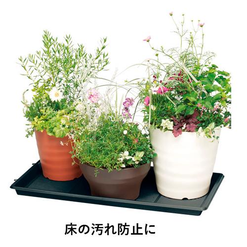 ガーデニング用鉢、鉢皿、パレット　取り放題！ トレー 皿 大和プラスチック ガーデンパレット 800型 ブラック 水受け