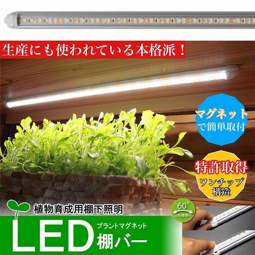 棚下 植物育成ライト LED プラントマグネット棚バー【3本点灯セット