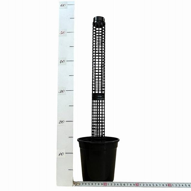 水苔無しモスポール　50本まとめ　29cmサイズ Jolie Nursery モスポール鉢 5号 黒/5号鉢黒専用モスポール 29cm 黒(水