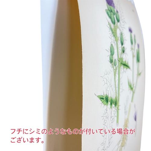 絵　植物　ボタニカルイラストレーション Fine art print of botanicalillustration　アート　 アンティーク イラスト 芸術 |  | 15