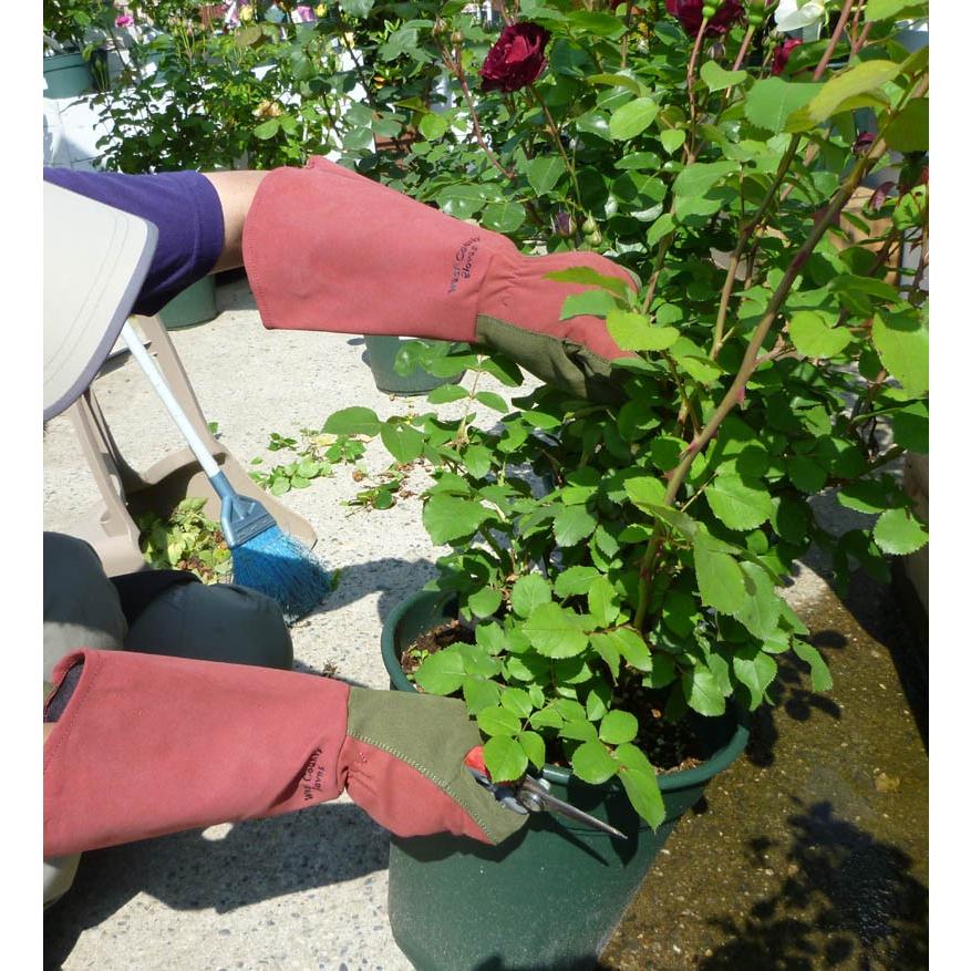 バラ専用手袋 グローブ WESTCOUNTY ROSE ウェストカウンティーローズ 東和CP 1個までネコポス :s-62588:LEAFS ヤフー店 - 通販 - Yahoo!ショッピング バラ専用手袋 グローブ WESTCOUNTY ROSE ウェストカウンティーローズ 東和CP 1個までネコポス :s-62588:LEAFS ヤフー店 - 通販 - Yahoo!ショッピング