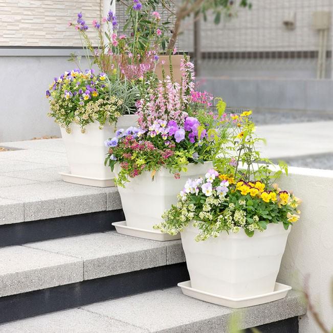 素焼風 寄せ植え アプローチ 階段 クラフトスクエア ３０型 アップル S Leafs ヤフー店 通販 Yahoo ショッピング