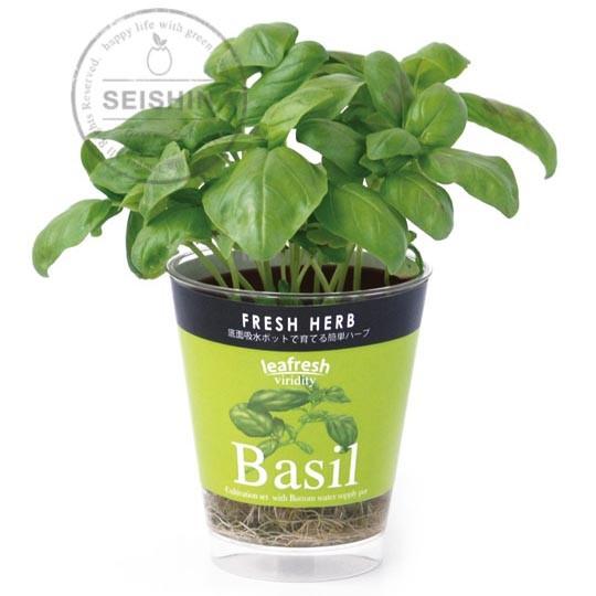 栽培キット インテリア おしゃれ プレゼント フレッシュハーブ 聖新陶芸 Belle Ile Nature Org