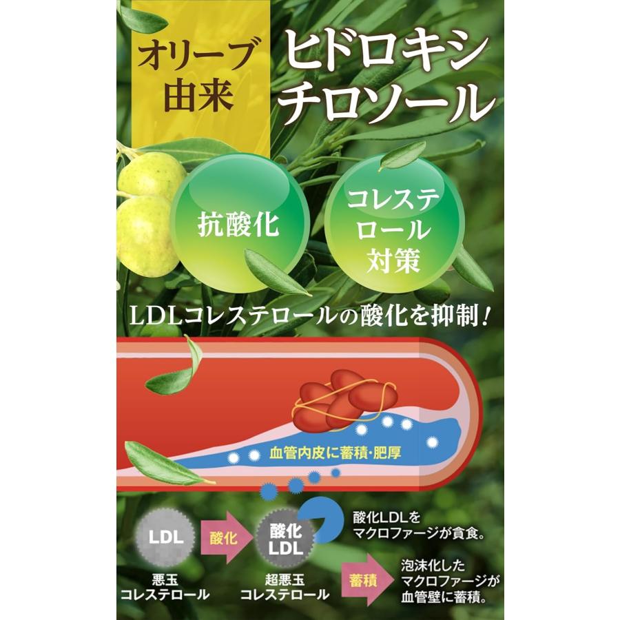 和漢の森 オリーブ&ギャバの恵み 60粒 機能性表示食品 血圧 悪玉コレステロール |  | 04