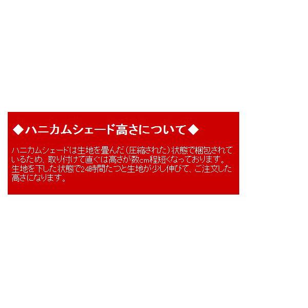 ハニカムシェード オーダーサイズ　遮光タイプ　幅15ｃｍ〜210ｃｍ　高さ約10cm〜240ｃｍ　ハニカムスクリーン　 |  | 07