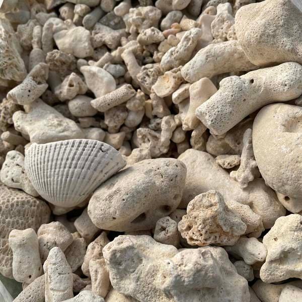 サンゴ砂利 3.5kg 珊瑚 化粧石 マルチング 石 : LeaMalapua - 通販