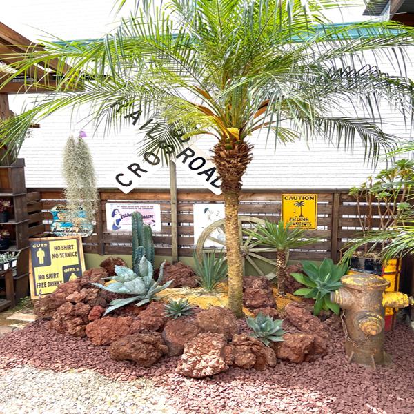 ユッカ・フィラメントーサ 観葉植物 お祝 新築祝い 開店祝い シンボル