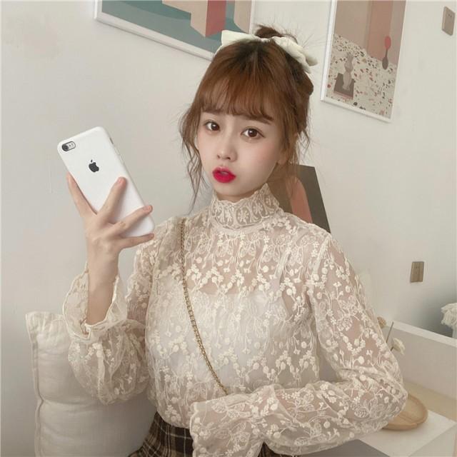 シースルー トップス レディース レースブラウス 長袖 シャツ ブラウス インナー 春 秋 花柄 刺繍 スタンドカラーシャツ ハイネック Awg0094 Leap リープ 通販 Yahoo ショッピング