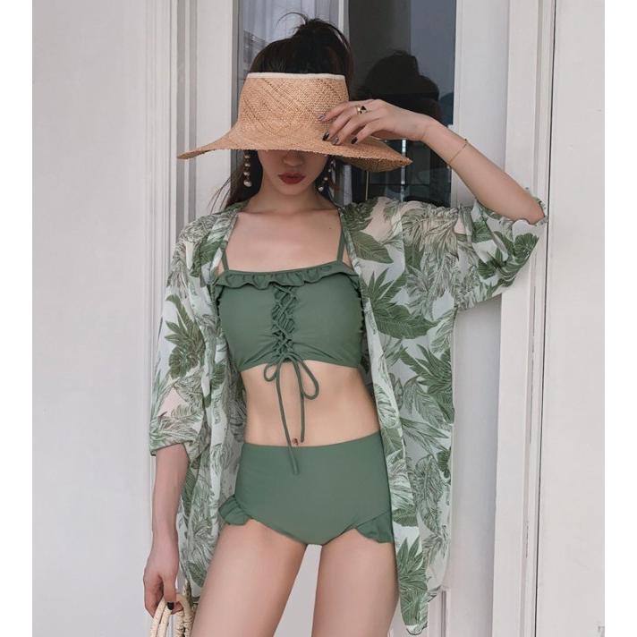 赤花有刺仔吹烏羽玉 Lophophora williamsii ロフォフォラ 烏羽玉 仔