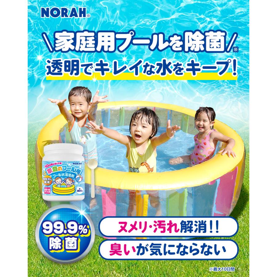 家庭 プール 除菌剤  99.9%除菌 水替え不要 小型 大型 プール用 汚れ ぬめり 臭い 防止 次亜塩素剤 塩素除菌 安心の日本製 800g NORAH |  | 01