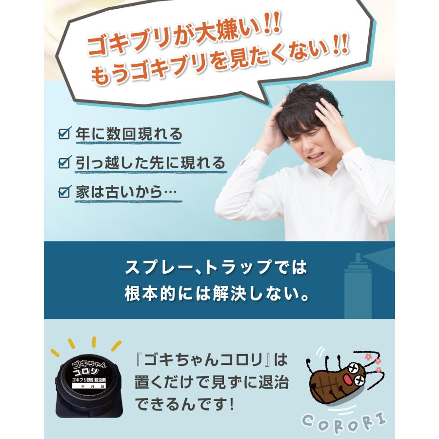 ゴキちゃんコロリ ゴキブリ駆除剤 ゴキブリ誘引殺虫剤 ゴキブリダンゴ