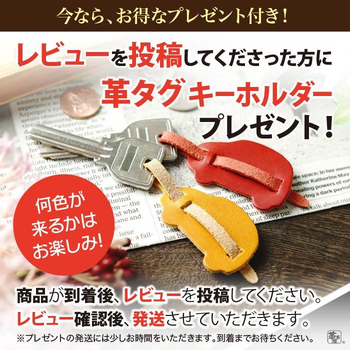 エンジンスターターケース 窓付き トヨタ TOYOTA リモートスタート