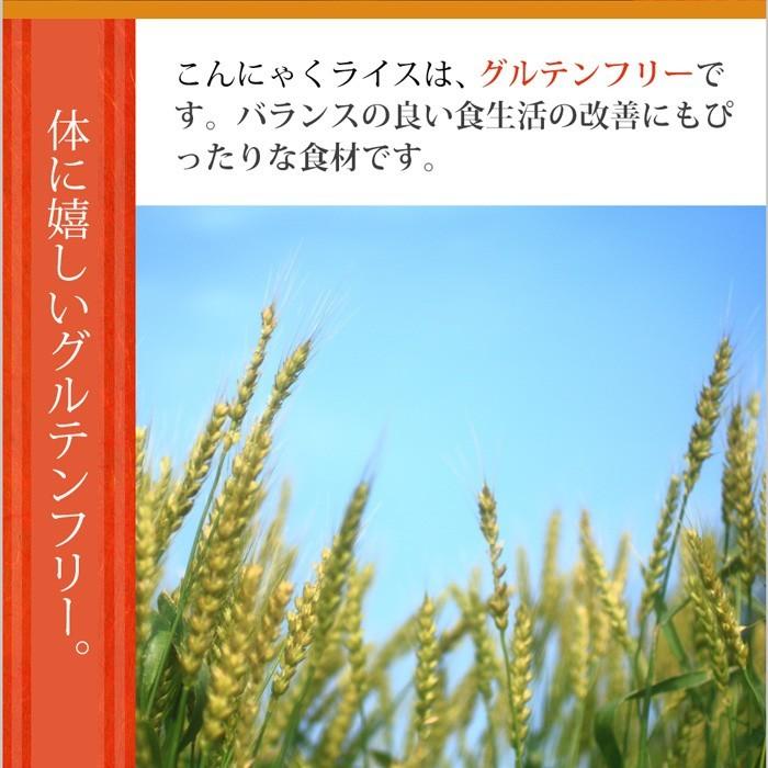 ダイエット食品 満腹 満腹感 こんにゃく米 10kg 乾燥 冷凍 こんにゃくご飯 蒟蒻米 こんにゃくライス 米 糖質カット 糖質制限 カロリー制限 におわない｜leathers｜09