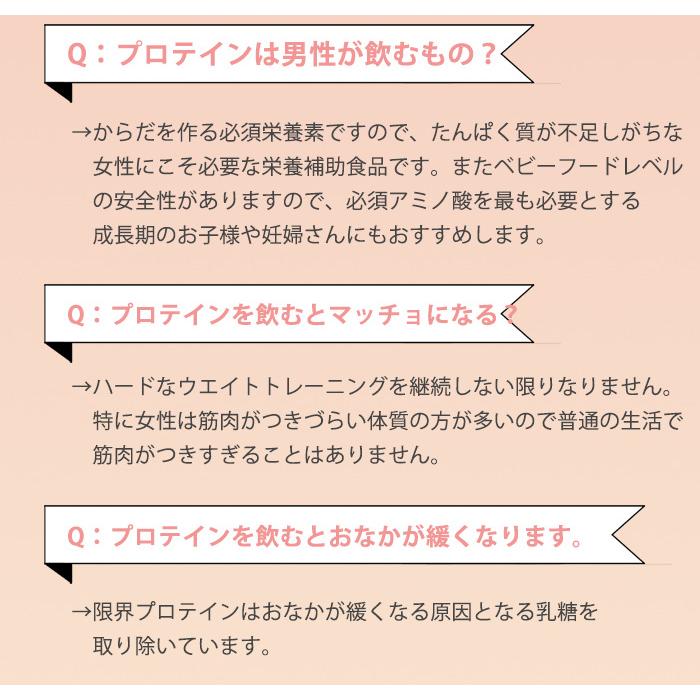 無添加プロテイン ホエイ WPI 糖質ゼロ 人工甘味料不使用 砂糖不使用