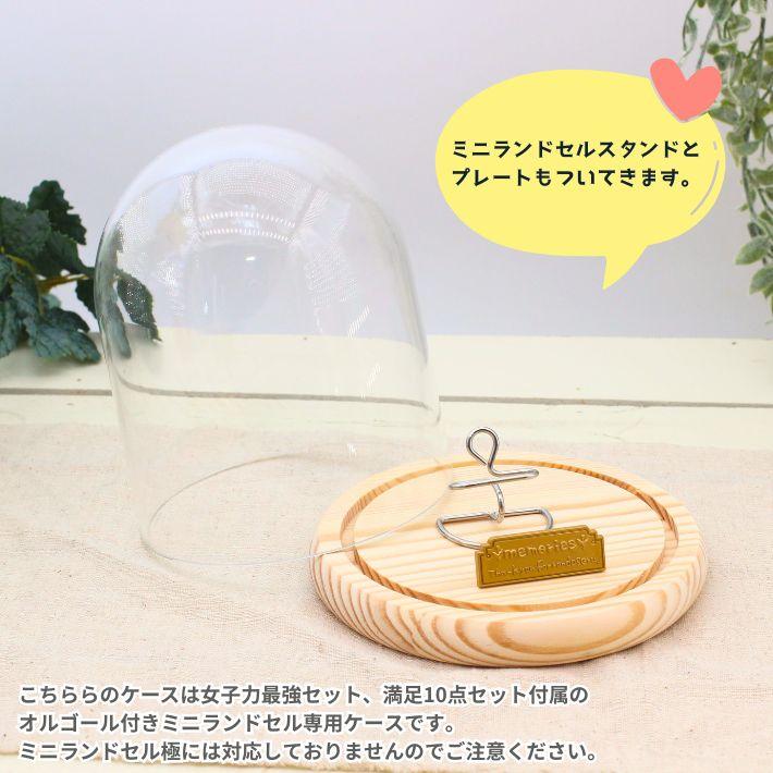 オルゴール付きミニランドセル用ドーム型ディスプレイケース（ミニランドセル極には対応しておりません。） |  | 01