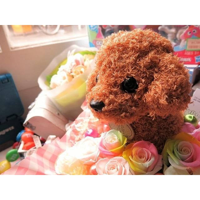 ペット お供え お悔み 虹の橋 レインボーローズ 犬 プードル ぬいぐるみ入り 花ギフト プリザーブドフラワー入り クリアーケース付き｜leaves78｜10