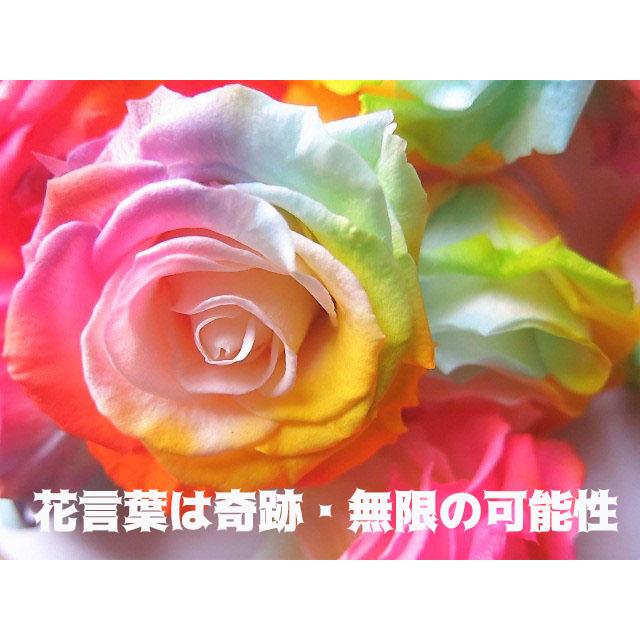 プリザーブドフラワー 花束風 結婚祝い 結婚記念日 女性 奥様 彼女 友達 バラ 108本 レインボーローズ 枯れない あすつく 対応商品です_7