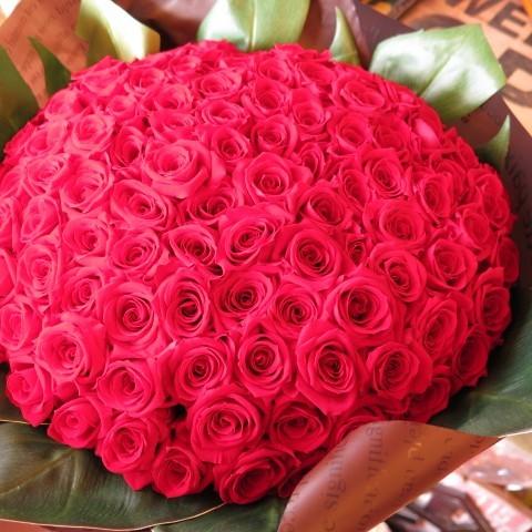 プロポーズ サプライズ 赤バラ 108本 花束 プリザーブドフラワー プロポーズ おすすめのフラワーギフト プレゼント先へのお届け 配送日指定も可能です Pre Aka108 005 フラワーガーデンリーブス 通販 Yahoo ショッピング