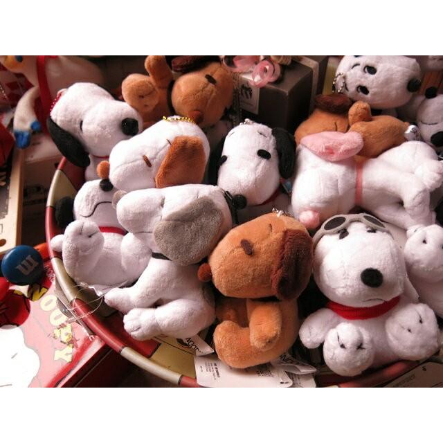 スヌーピー ぬいぐるみ入り 花束風 フラワーギフト プリザーブドフラワー レインボーローズ 数字入り Snoopy Rainbow3 Rose3 Suuji 001 フラワーガーデンリーブス 通販 Yahoo ショッピング