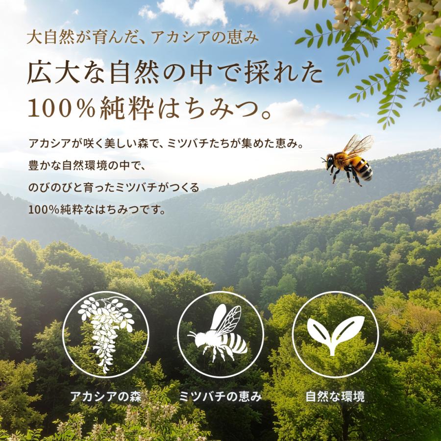 はちみつ 100% 純粋 無添加 農薬不使用 Beevelle アカシア〈花蜜〉500g