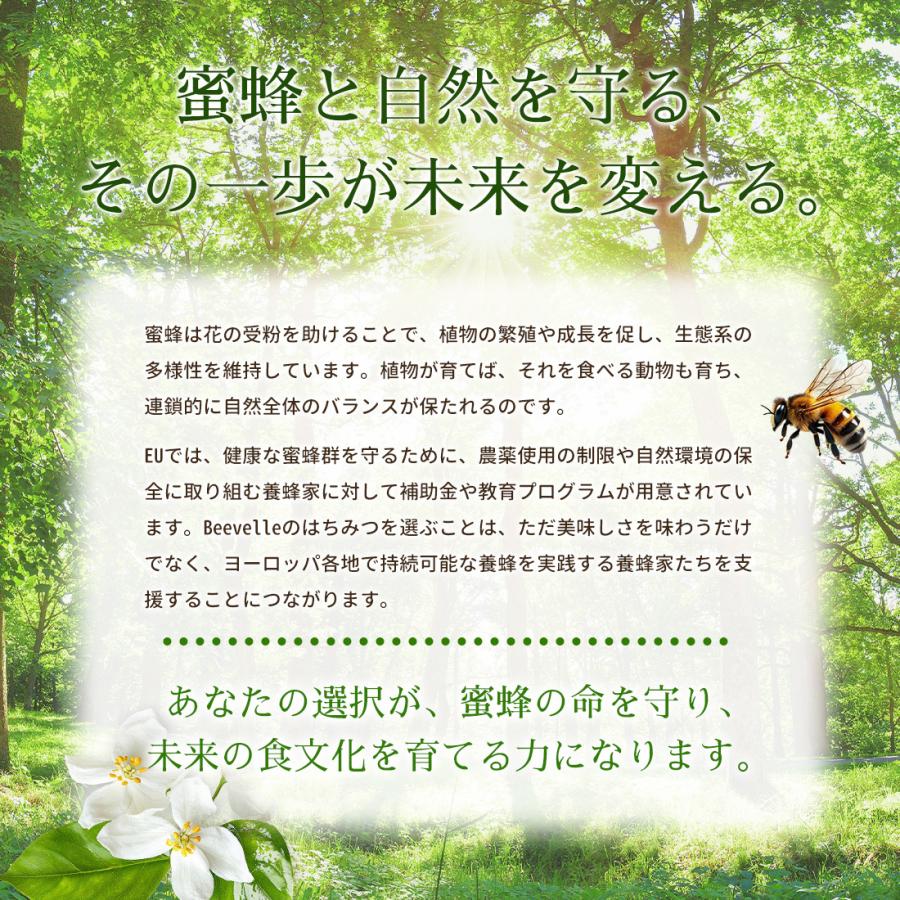 はちみつ 100% 純粋 無添加 農薬不使用 Beevelle 百花蜜 〈花蜜〉500g