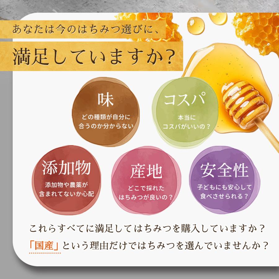 はちみつ 100% 純粋 無添加 農薬不使用 Beevelle 百花蜜 〈花蜜〉500g
