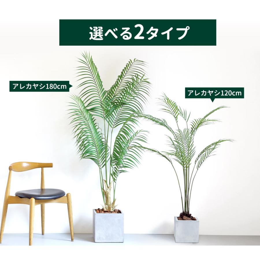 リーベン フェイクグリーン 大型 アレカヤシ 180cm ファイバークレイ製