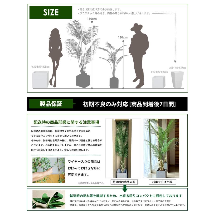 リーベン フェイクグリーン 大型 アレカヤシ 180cm ファイバークレイ製