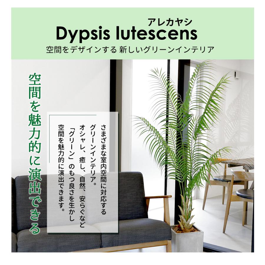 リーベン 観葉植物 フェイクグリーン 大型 アレカヤシ 180cm