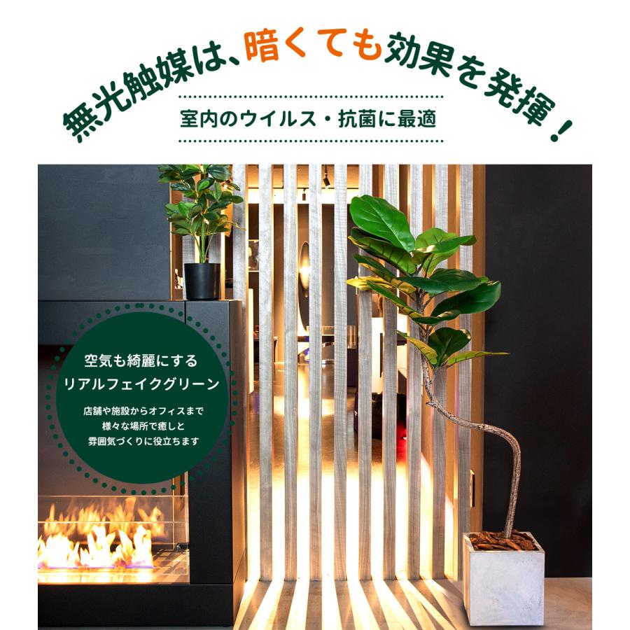 リーベン フィカス バンビーノ 150cm フェイクグリーン 大型 観葉植物