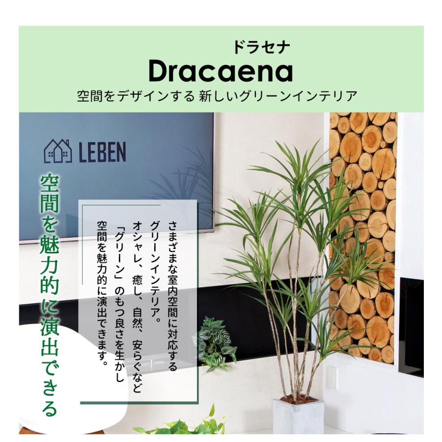 リーベン ドラセナ 150cm フェイクグリーン 大型 観葉植物 ファイバー