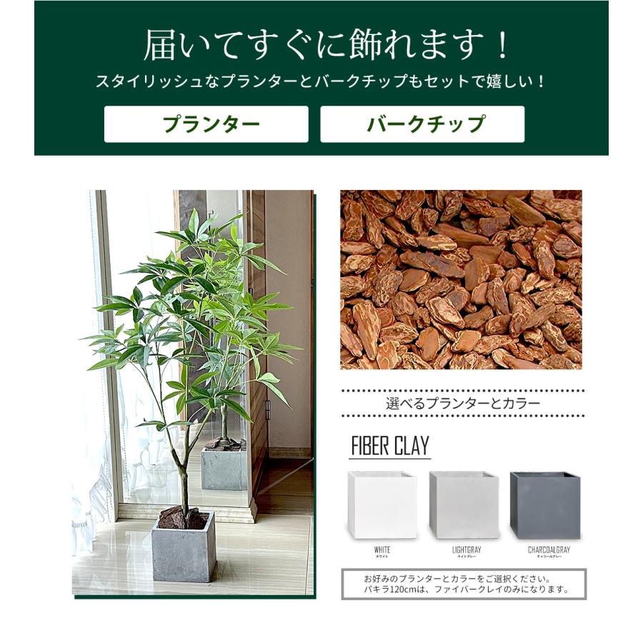 リーベン フェイクグリーン 大型 パキラ 120cm 観葉植物 ファイバー