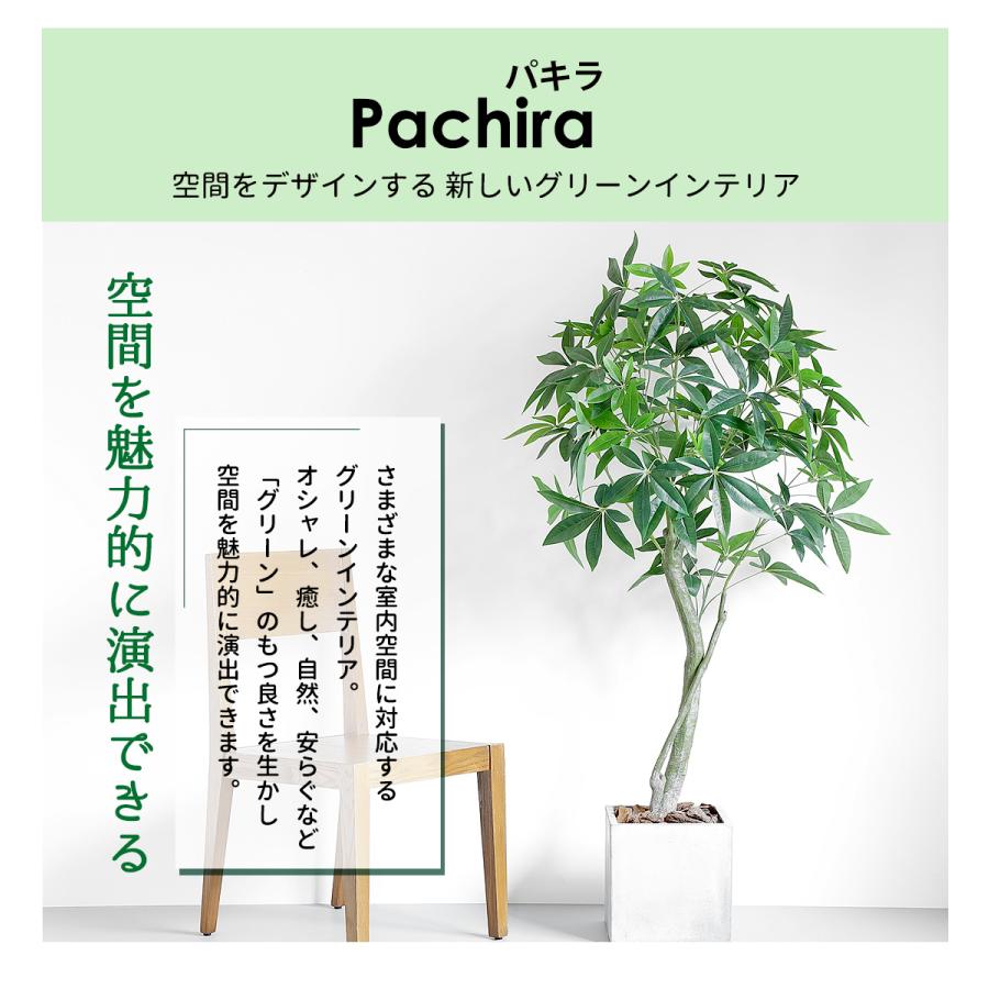 リーベン フェイクグリーン 大型 パキラ 150cm 観葉植物 ファイバー